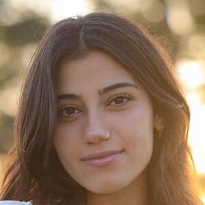 sara saffari agr|Sara Saffari Height, Age, Family, Biography »。